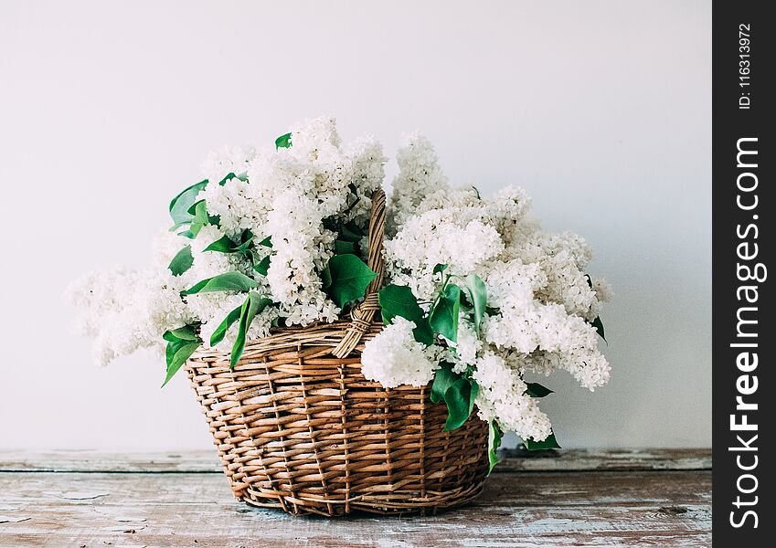 Bouquet of fresh white lilac flowers in wicker basket on wooden table, rustic floral home decoration