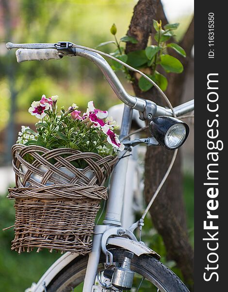 Bicycle decorated with flowers as a decorative element in the garden. Bicycle decorated with flowers as a decorative element in the garden