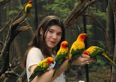 Teenager Girl In Asian Zoo Feeding Ara Parrots Royalty Free Stock Photos
