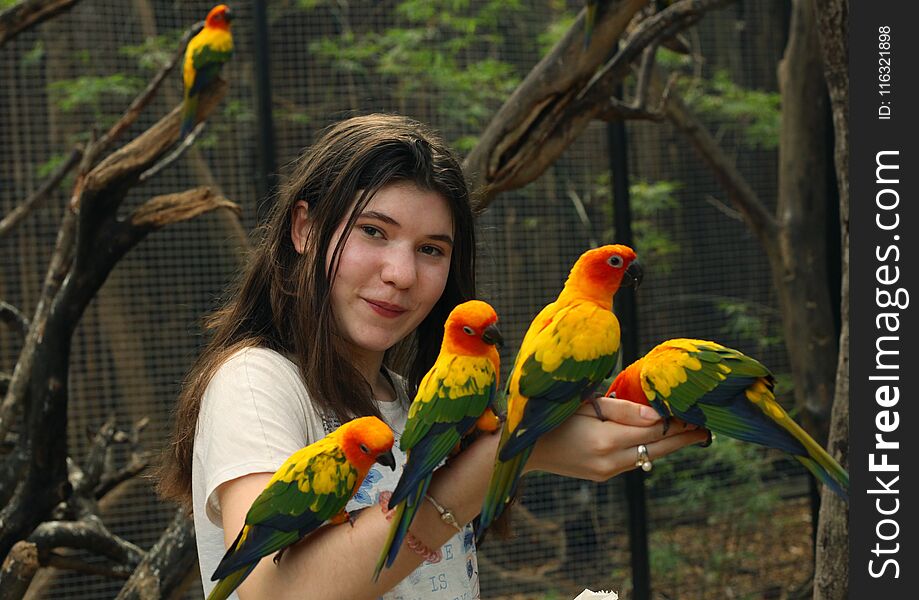 Teenager girl in asian zoo feeding ara parrots