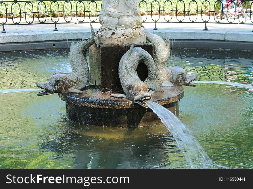 Water, Water Feature, Pond, Fountain