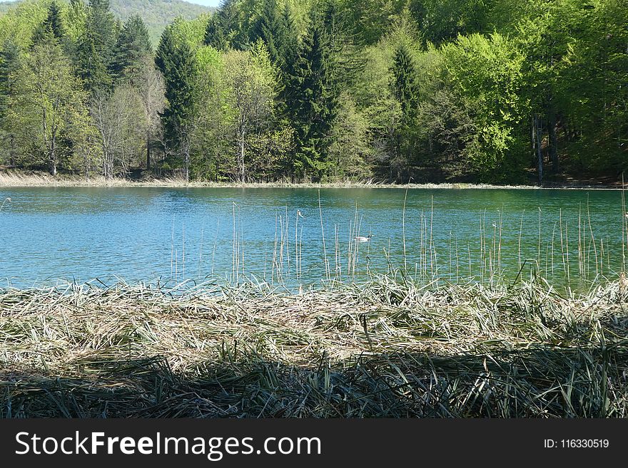 Water, Nature Reserve, Body Of Water, Lake