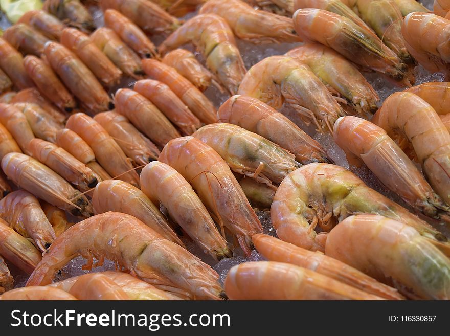 Shrimp, Seafood, Dendrobranchiata, Caridean Shrimp