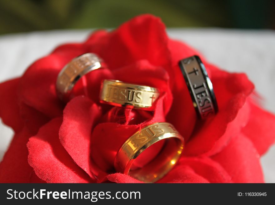 Ring, Jewellery, Petal, Rose Family