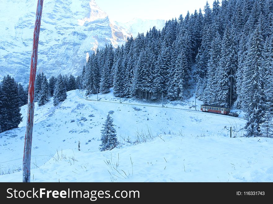 Snow, Winter, Tree, Mountain Range