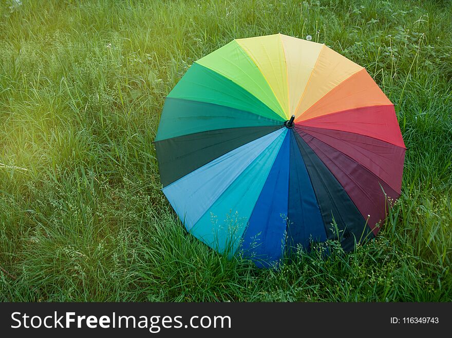 Colorful Rainbow Umbrella Over A Green Grass Field Sunrisez Copy Space Spring Summer Rain