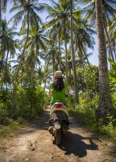 Young Happy Tourist Woman With Hat Riding Scooter Motorbike In Tropical Paradise Jungle With Blue Sky And Palm Trees Exploring Tr Stock Image