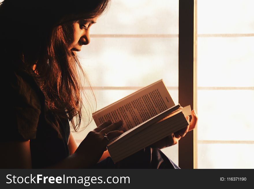 Woman Reading a Book Beside the Window