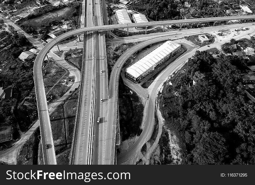 Grayscale Top View Photography of Roads Near Trees
