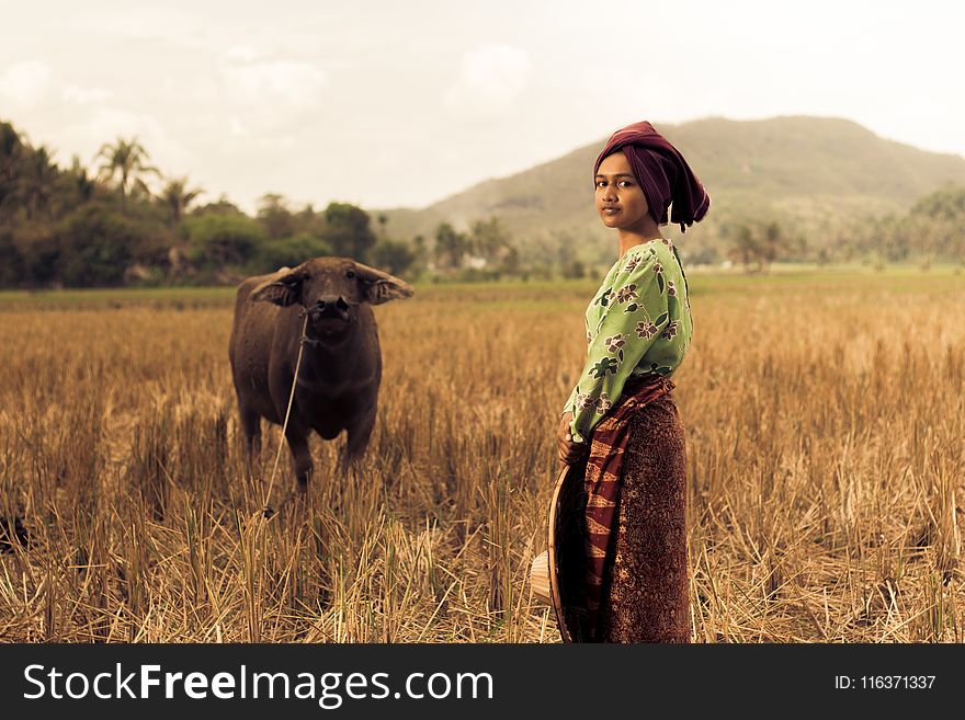 Woman Standing Near Black Water Buffalo at the Field