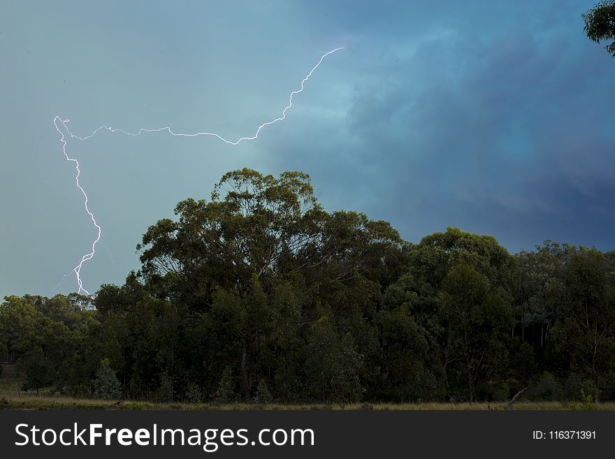 Lightning Above the Green Trees