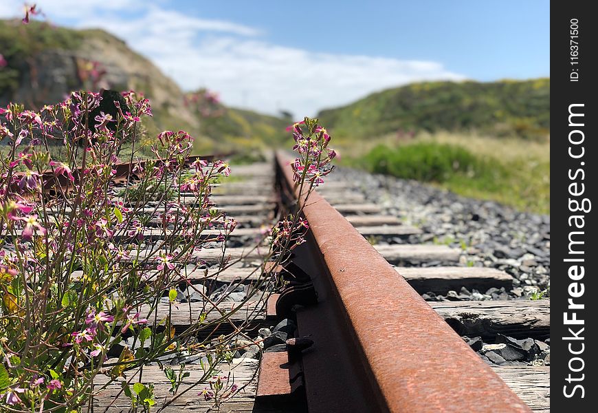 Shallow Focus Photography of Railroad