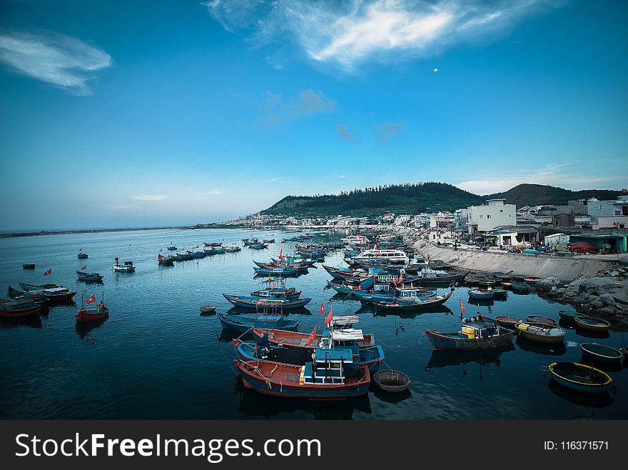 Sailboats on Body of Water