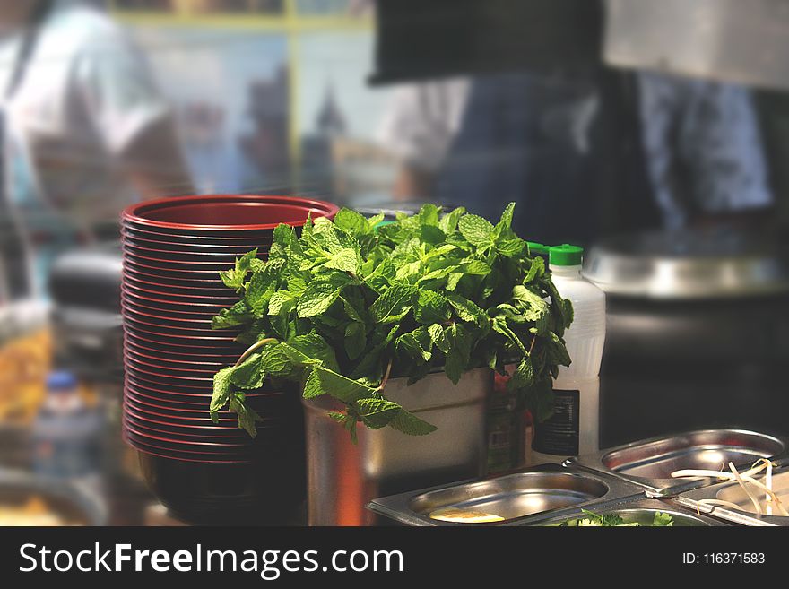 Green Leaf Plant Beside Bowl and Bain-marie