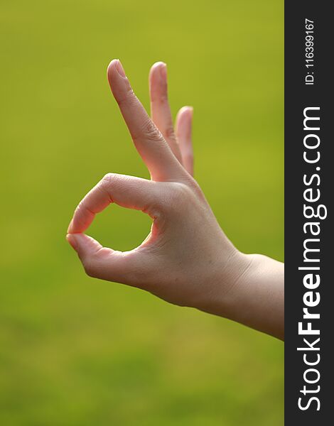 Ok hand sign in grass, by a woman hand , agreement