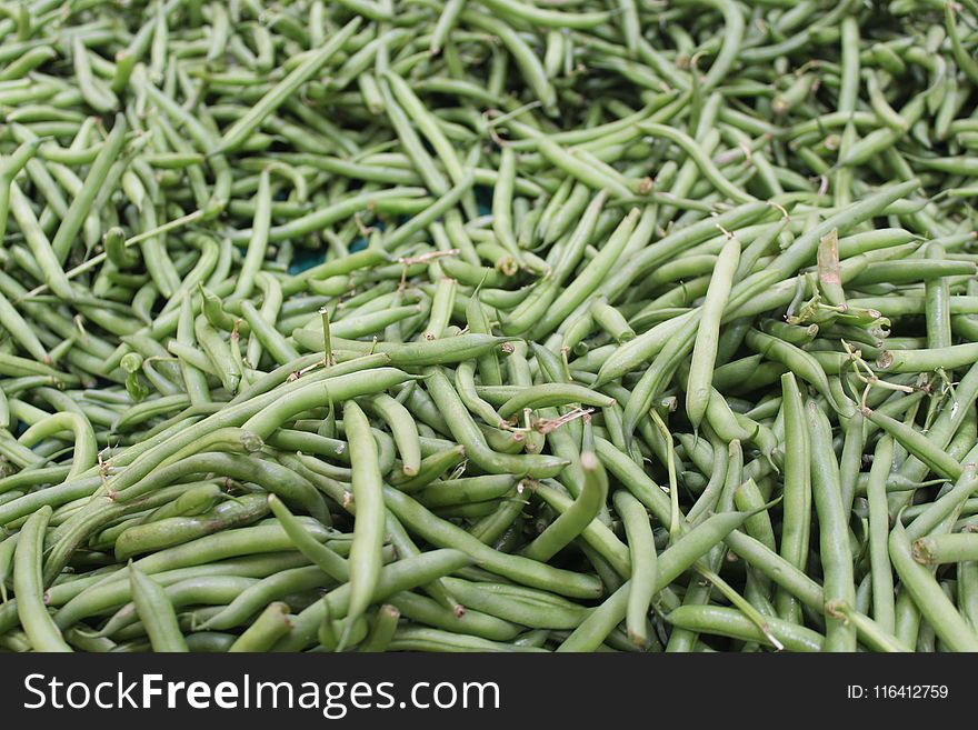 Green Bean, Vegetable, Vegetarian Food, Bean
