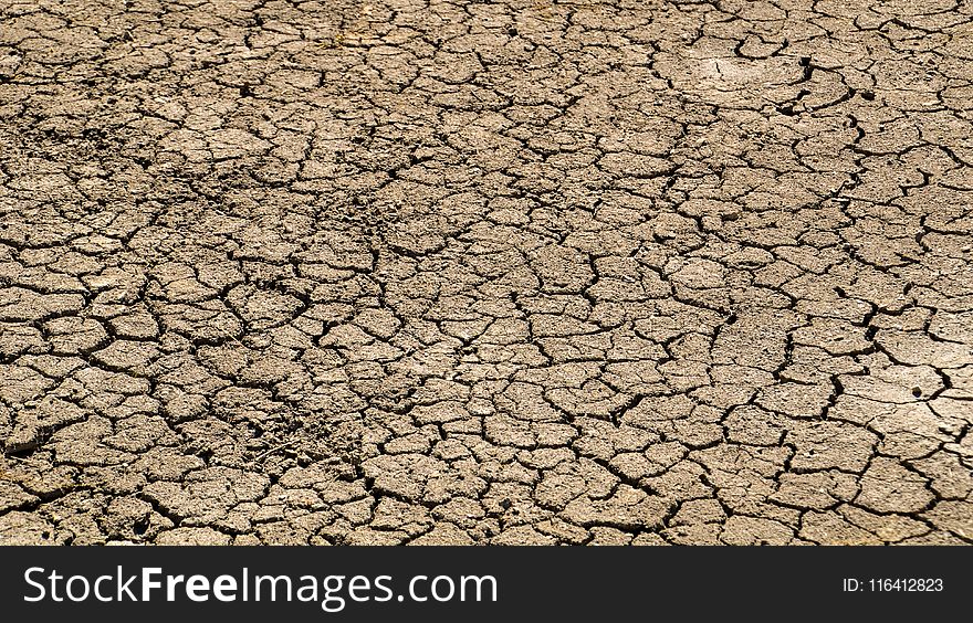 Soil, Drought, Pattern