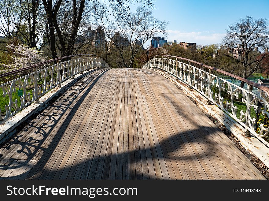 Bridge, Path, Walkway, Tree