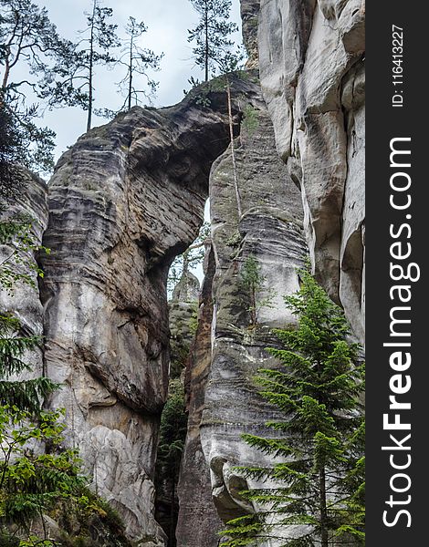 Rock, Tree, Cliff, Formation
