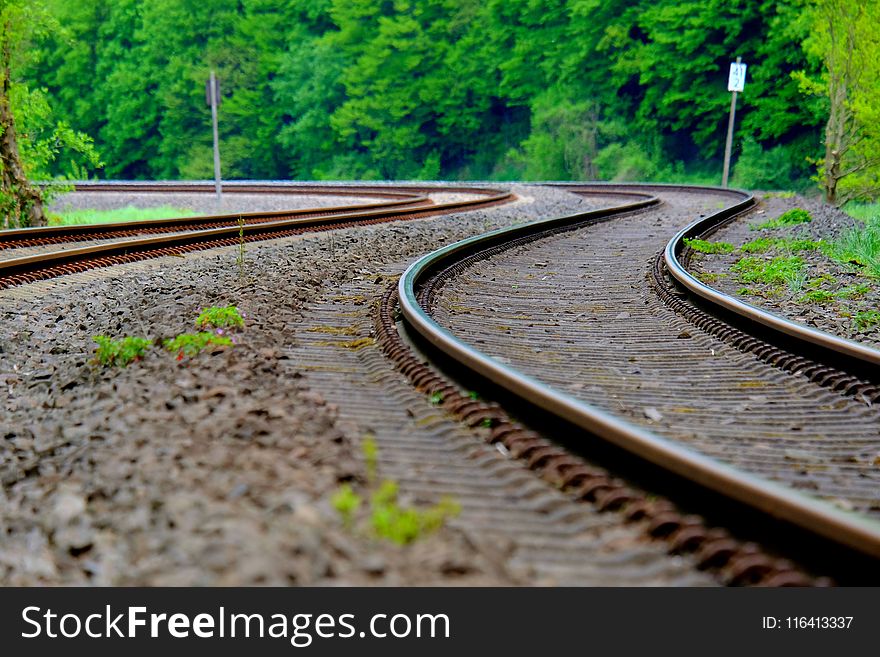 Track, Transport, Path, Rail Transport