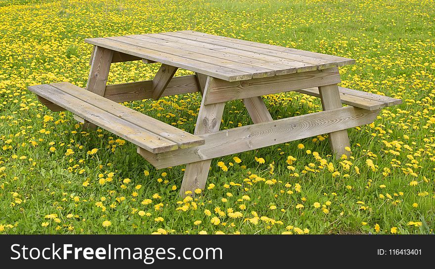 Furniture, Bench, Table, Grass
