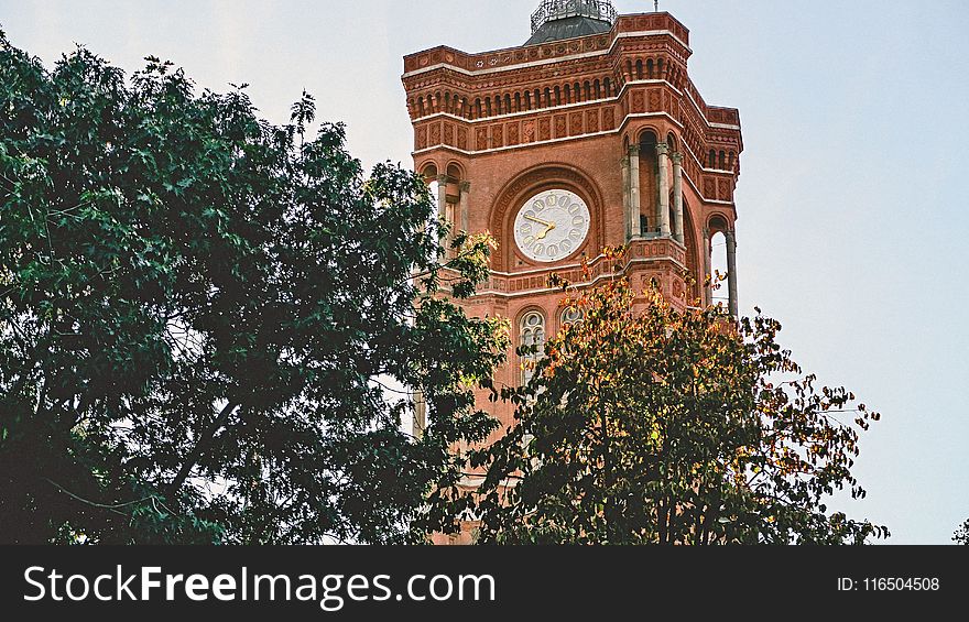 Clock Tower Near Trees at Daytime Photo