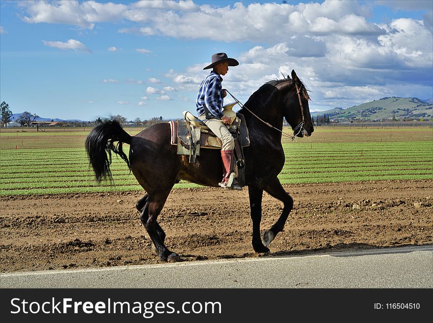 Man Riding on Brown Horse Under Blue and White Cloudy Sky