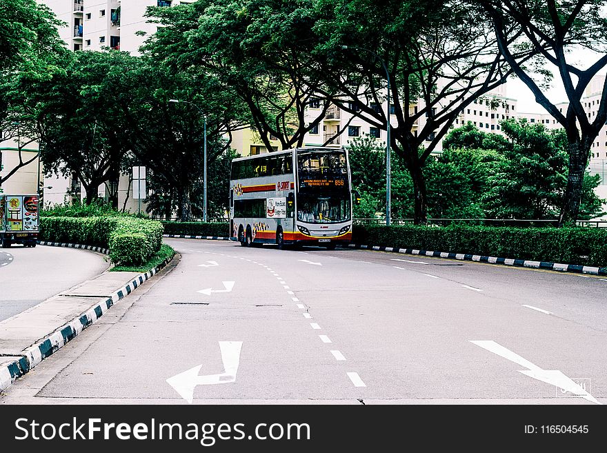 Photo Of Gray And Orange Bus