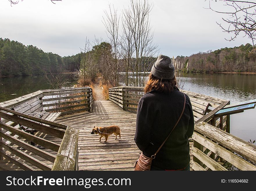 Woman Walking on Dock With Dog