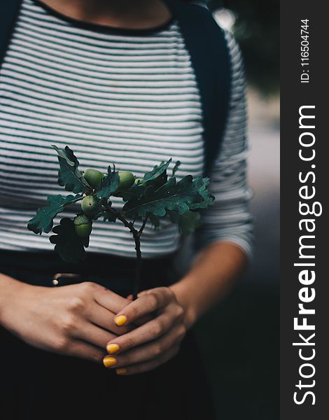 Selective Focus Photograph of Green Plant on Person&#x27;s Hands