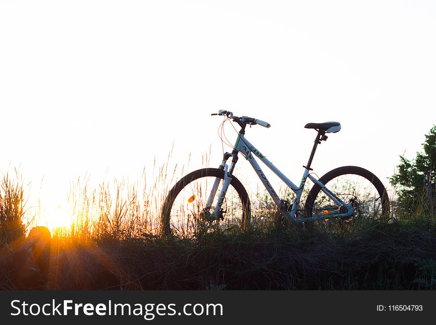 Teal Hardtail Bike on Green Grass