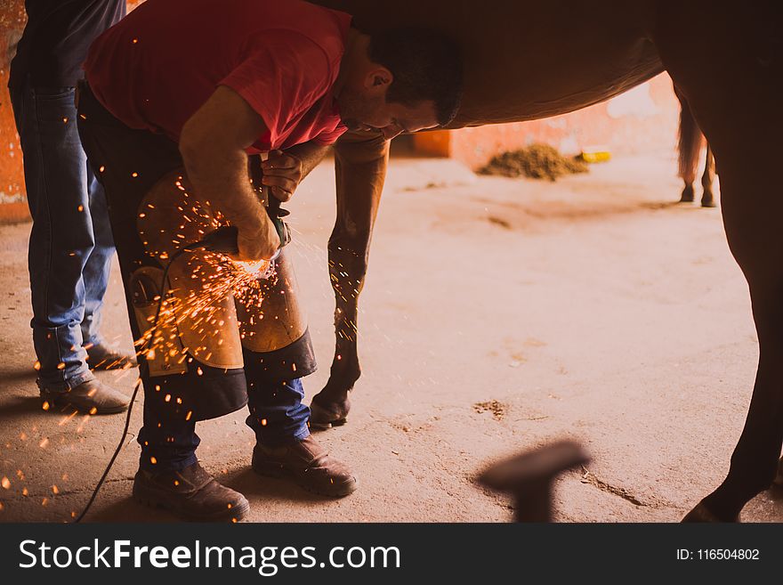 Man Holding Lighting Tool Near Brown Horse