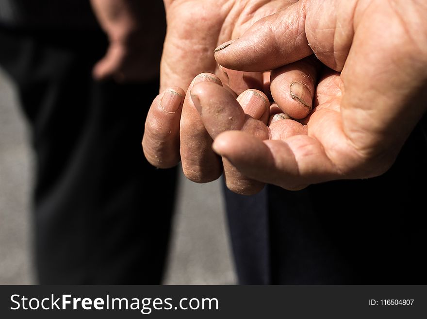 Photo of Person&#x27;s Hands