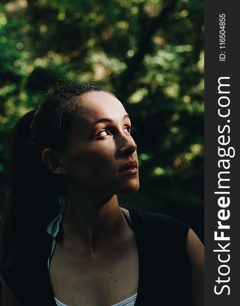 Woman Looking Up Near Tree