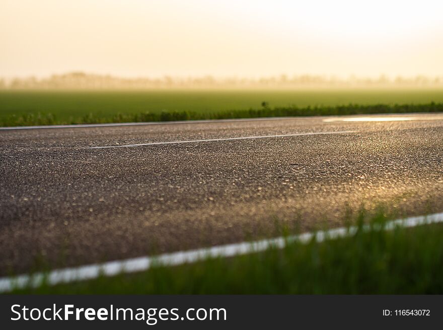 Green grass on roadside of asphalt road. Nature concept