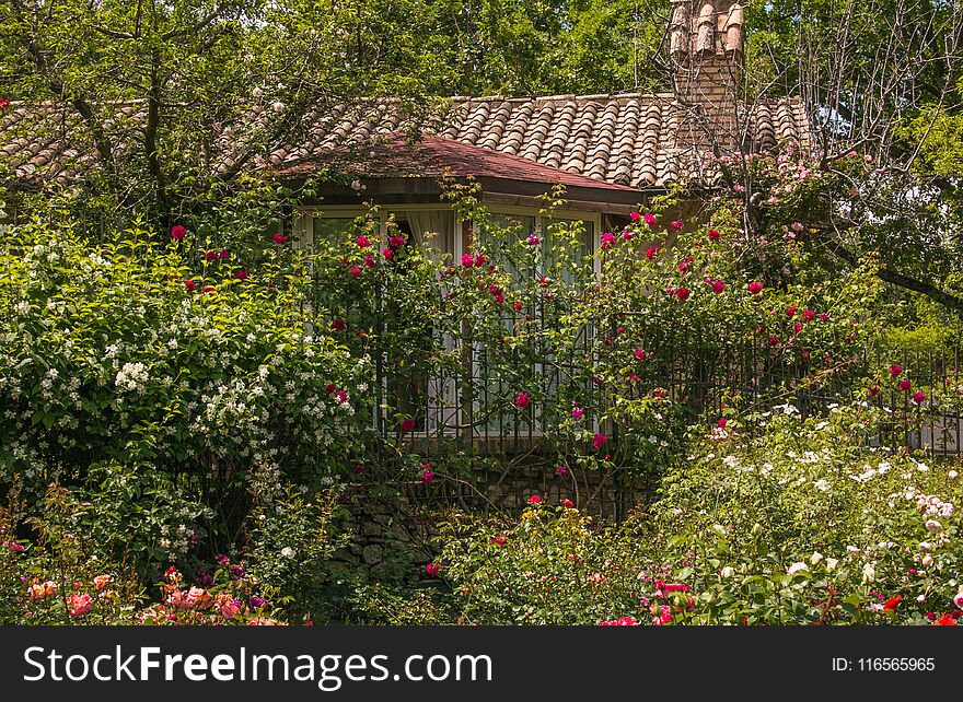 View of beautiful cottage in the rose garden