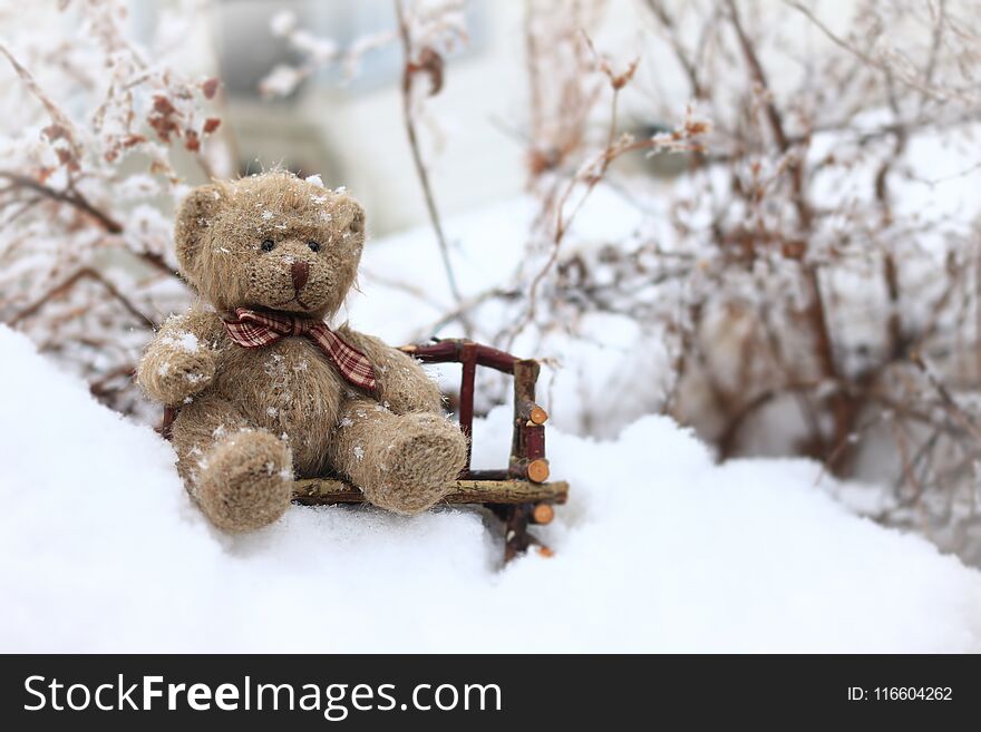 Teddy Bear Sitting On A Bench In The Snow