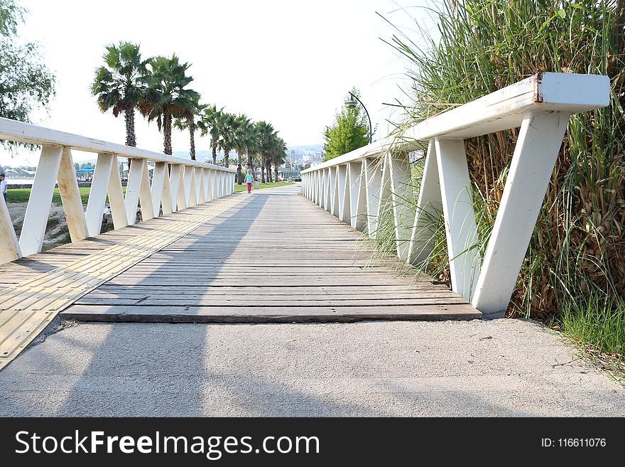 Walkway, Boardwalk, Bridge, Recreation