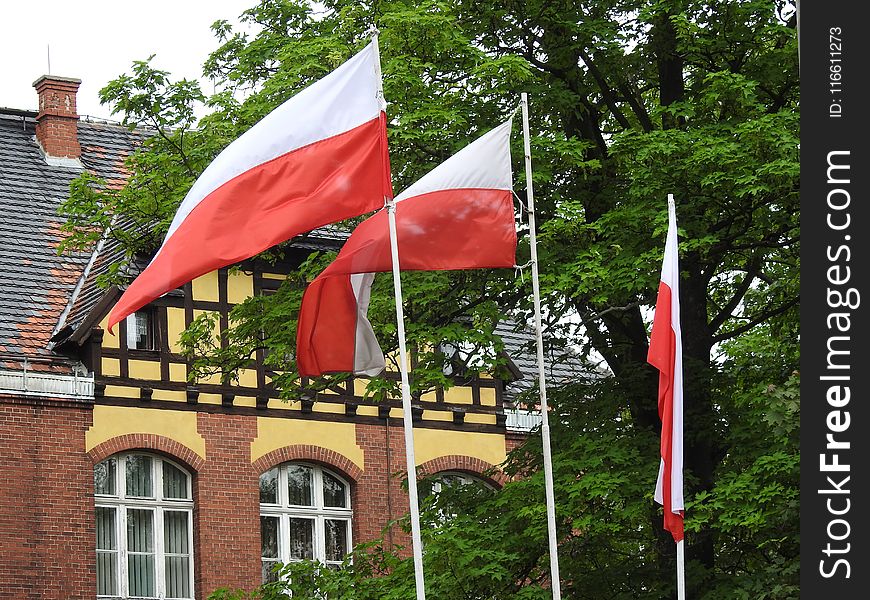 Flag, Tree, House, Facade