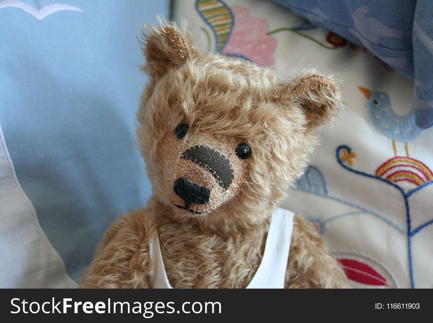Teddy Bear, Stuffed Toy, Fur, Snout