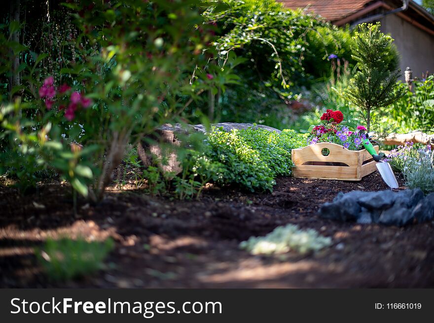 Gardening. Crate Full of Flowerpots and Garden Tools Ready for Planting In Sunny Garden. Spring Garden Works Concept.