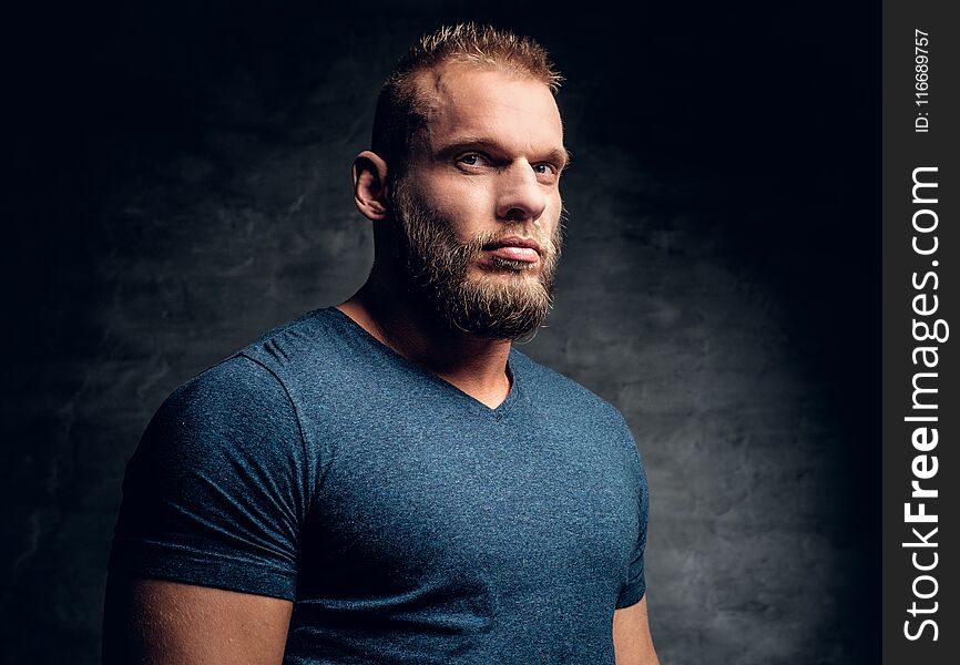 A brutal muscular male dressed in a blue t shirt over grey background.