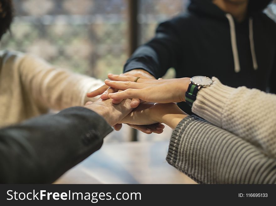 Shallow Focus Photography of Five People Holding Each Other Hands