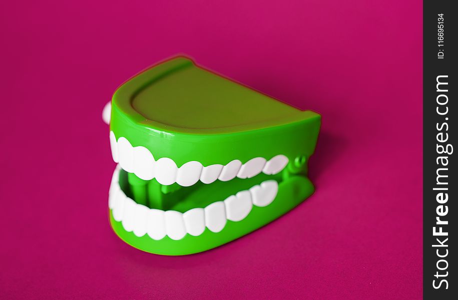 Green and White Denture Toy