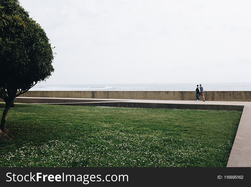 Couple Walking Pathway Near Green Grass