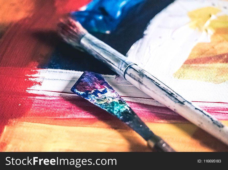 Shallow Focus Photo Of Gray Paintbrush