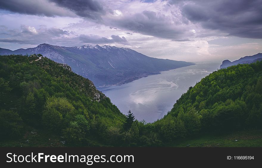 Green Leaf Trees Near Lake Under Cloudy Sky at Daytimne
