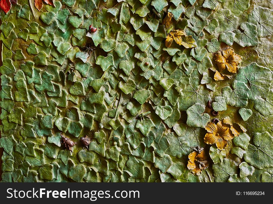 Green Leaves Concrete Wall