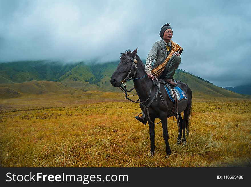 Photography of a Person Riding a Horse