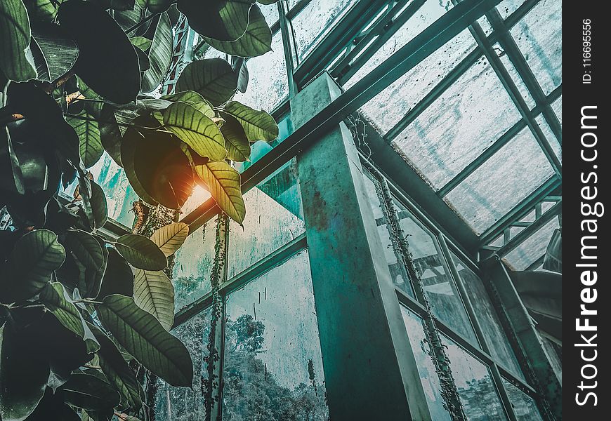 Low Angle Photography of Greenhouse